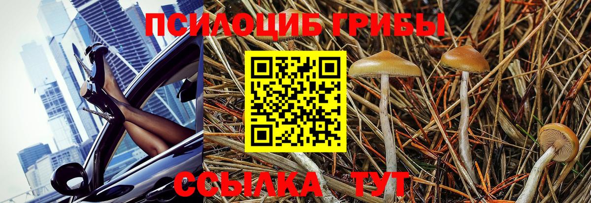 Псилоцибиновые грибы MAGIC MUSHROOMS  Вход с VPN  Галлюциногенные грибы Psilocybe  Арсеньев 